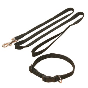 TRIXIE Welpen-Garnitur Halsband 25-40cm Leine 1,20m Nylon schwarz für Hund