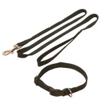TRIXIE Welpen-Garnitur Halsband 25-40cm Leine 1,20m Nylon...