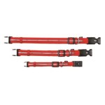 TRIXIE Halsband Flash XS-S 23-34 cm/20 mm rot mit...