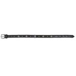 TRIXIE Halsband ACTIVE Leder Strassbesatz M 36-43cm 18mm...