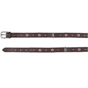 TRIXIE Halsband ACTIVE Leder Strassbesatz M 36-43cm 18mm dunkelbraun Hunde