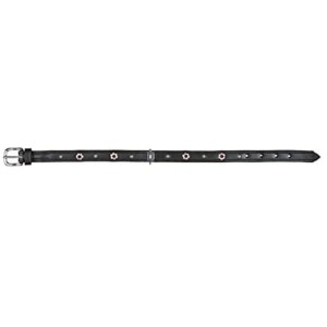 TRIXIE Halsband ACTIVE Leder Strassbesatz M 39-46cm 22mm schwarz Hunde