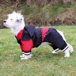 TRIXIE Hundemantel Regenkombi Cayres teilbar XS 30cm schwarz/rot