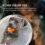HOFMAN ANIMAL CARE Hundespielzeug Dog Comets SWIFT TUTTLE Orange Ball 6cm Naturkautschuk