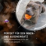 HOFMAN ANIMAL CARE Hundespielzeug Dog Comets SWIFT TUTTLE Orange Ball 6cm Naturkautschuk