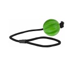 HOFMAN ANIMAL CARE Spielzeug Dog Comets HALE-BOPP Green...