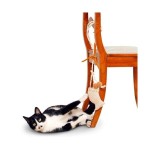 KARLIE Naturspielzeug SISAL FLEETY 3 mit Catnip 119cm...