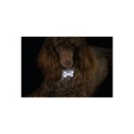 KARLIE LED Sicherheitsblinker BLINKI BONE silber
