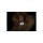 KARLIE LED Sicherheitsblinker BLINKI BONE silber