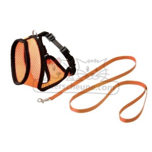 Orange/Schwarz